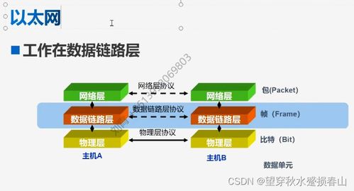 交換機基本原理與配置