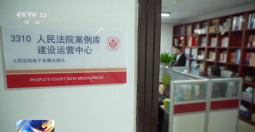人民法院案例庫入庫參考案例選編 附案例庫使用指南